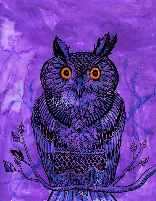 Owl Illustration by Felix Wolfstrom