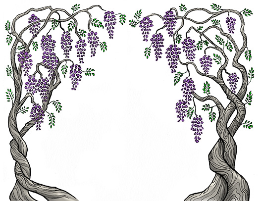 Wisteria Vines Border Frame.